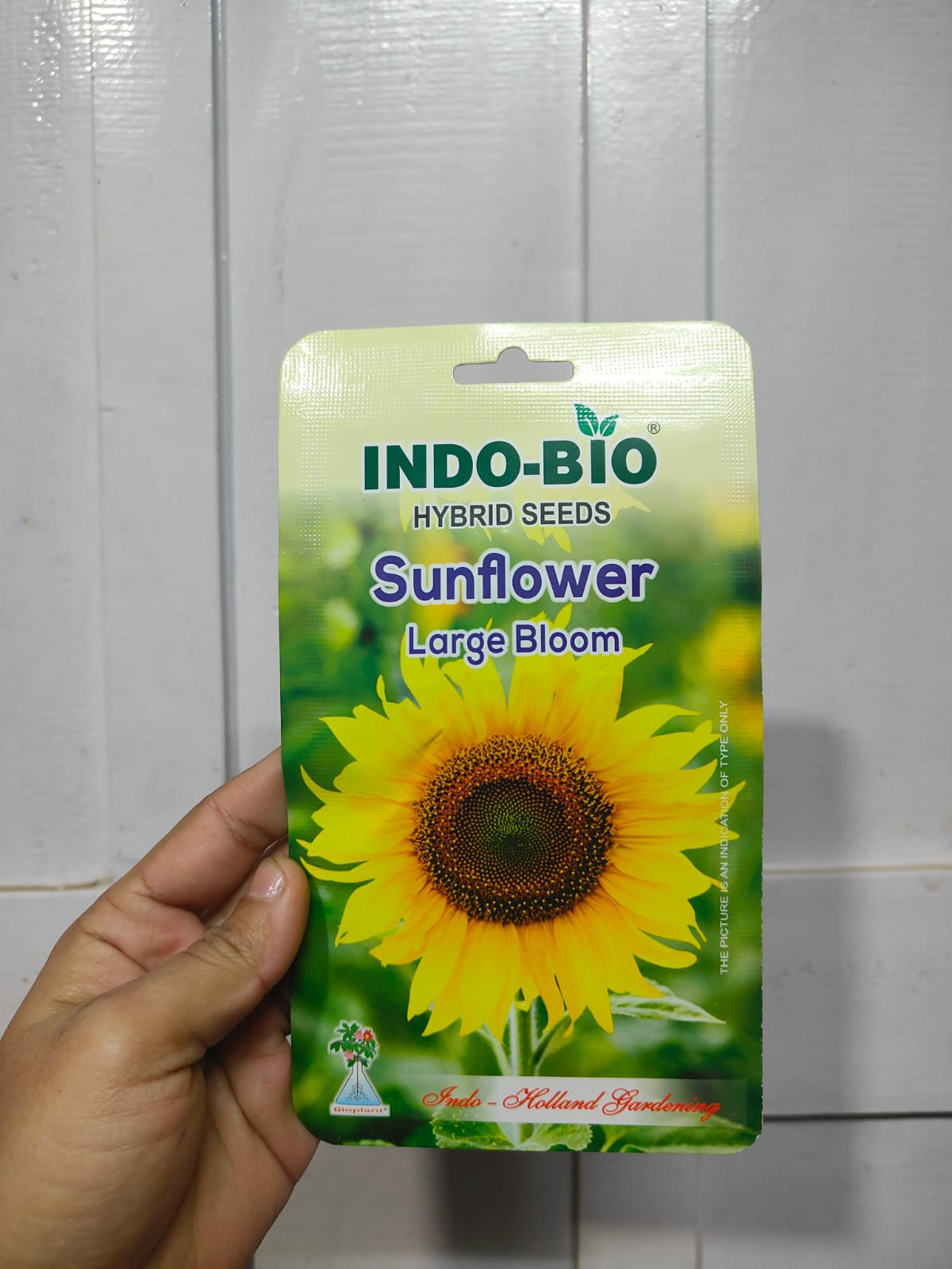 1 Packet All-Season, All-Time Flower Seeds: A Beautiful Collection for ...