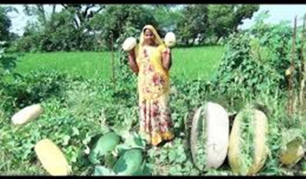daraz.com.np