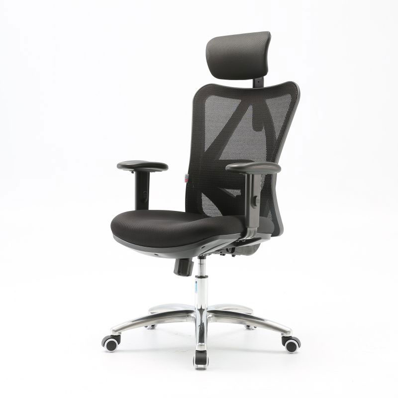SIHOO M18 Ergonomic Office Chair Adjustable Headrest with 2D Armrest
