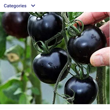 daraz.com.np