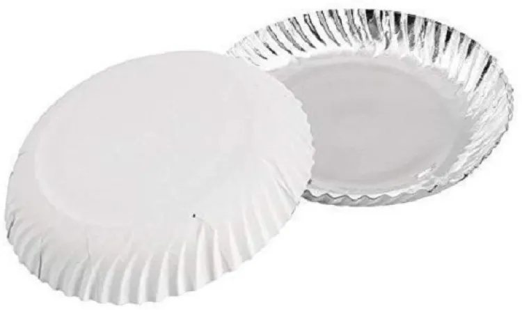 Disposable hotsell silver plates