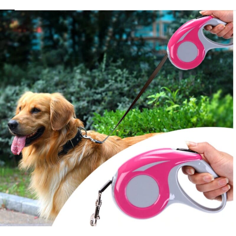 retractable rope dog leash