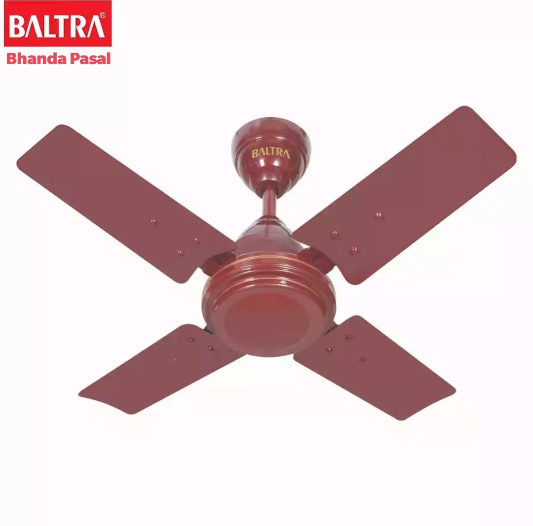 Baltra Ceiling Fan Wave Metal 24 Inches