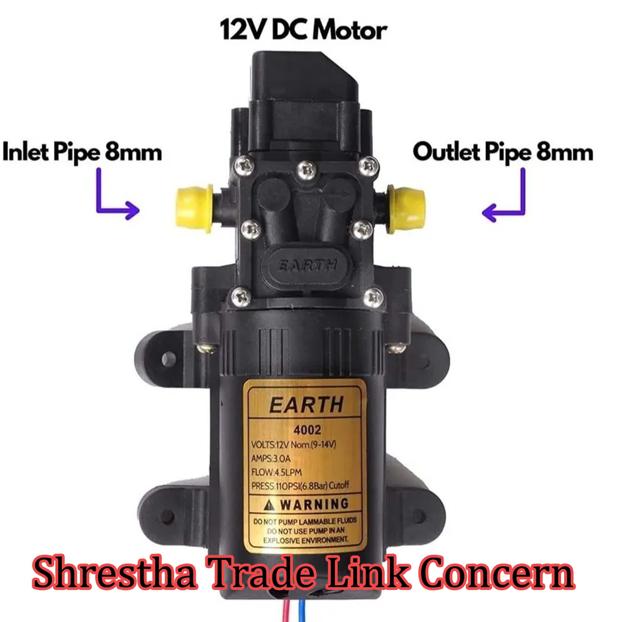 Earth Brand 12v DC 110 Psi Water Pump