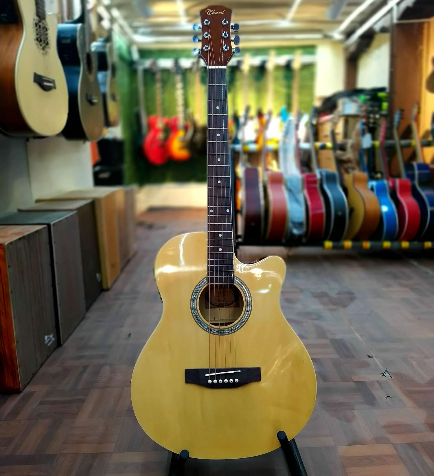 Chard acoustic deals guitar price