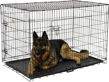 36 inch cage