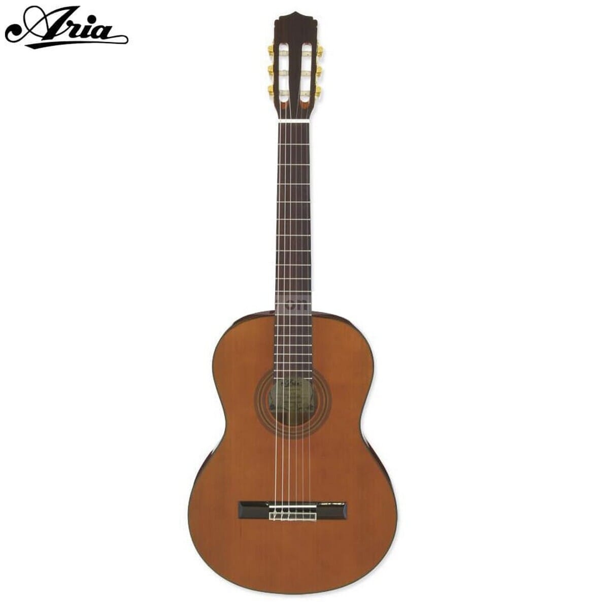 aria classical guitar prices