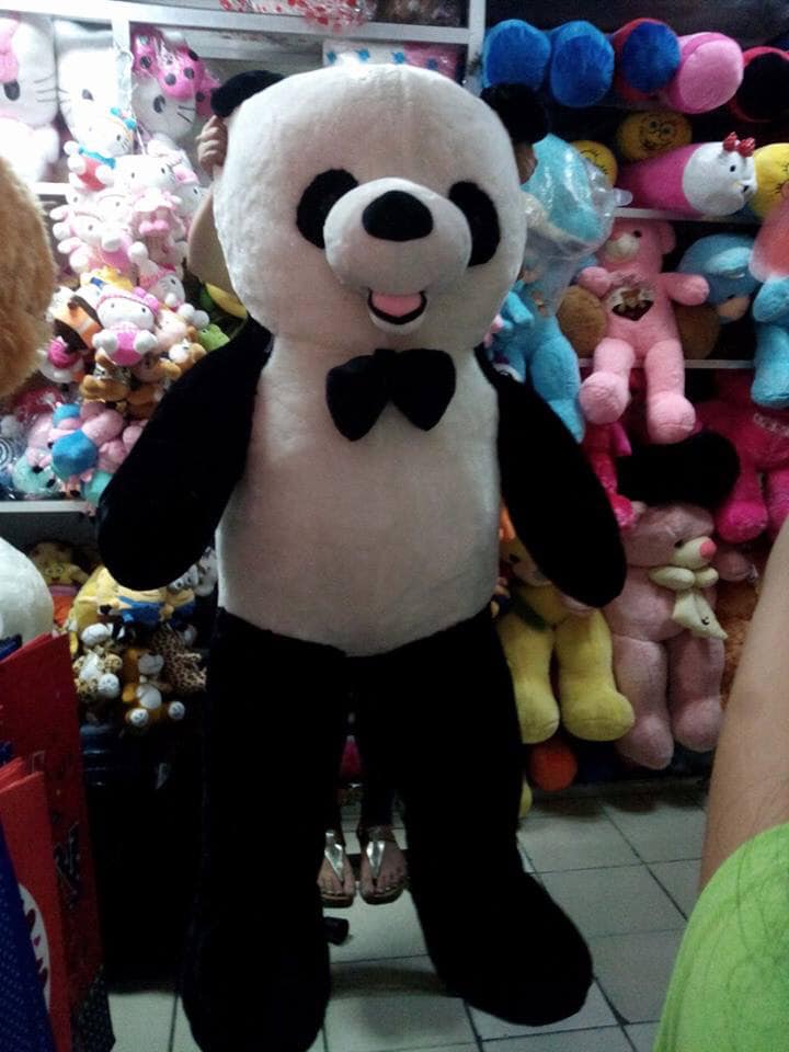 teddy bear daraz