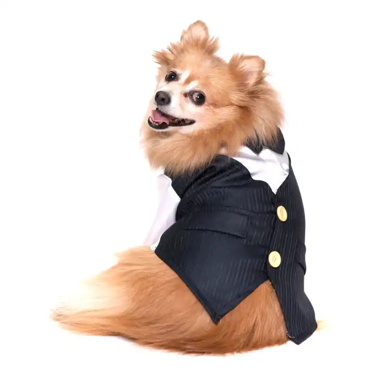 Fancy dog hot sale costumes