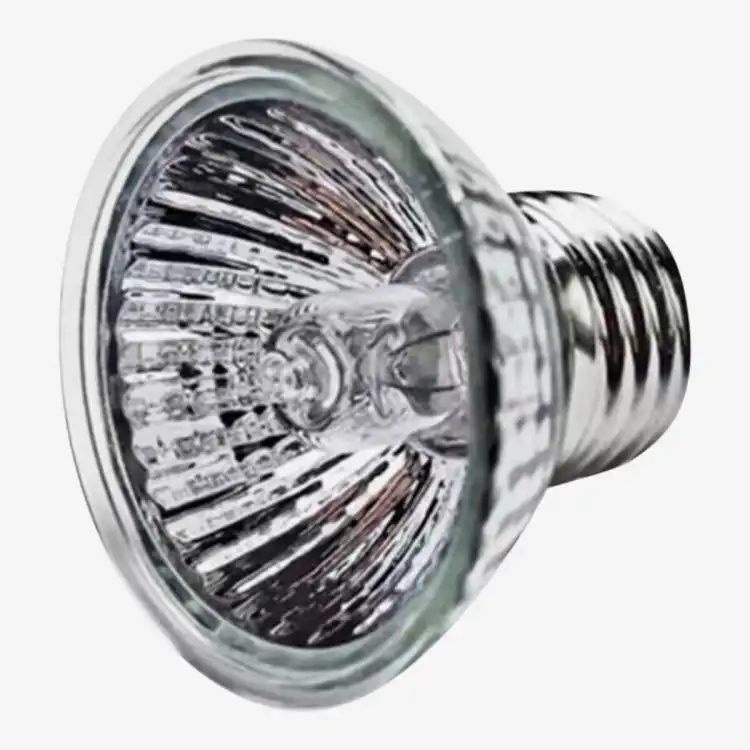 Basking lamp outlet bulb