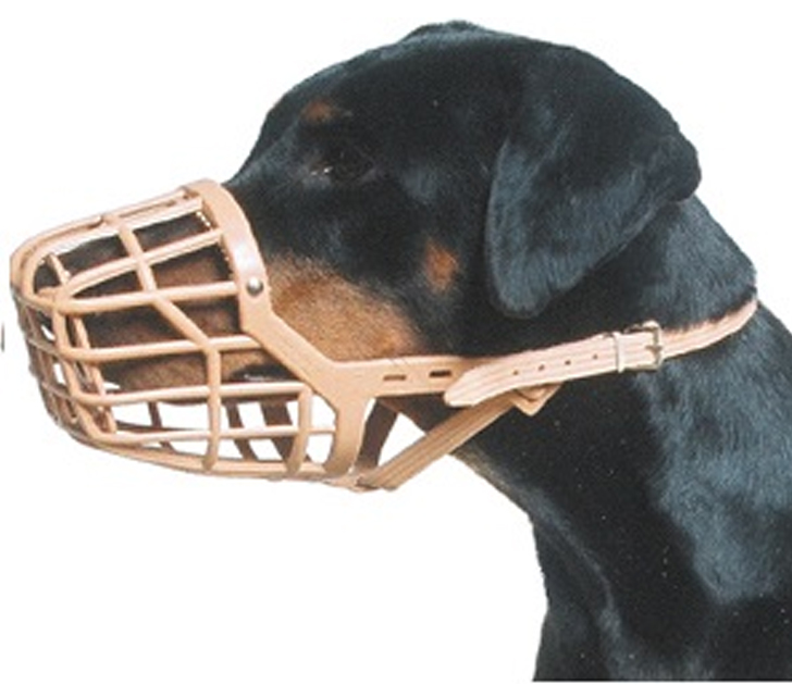 dog muzzle price