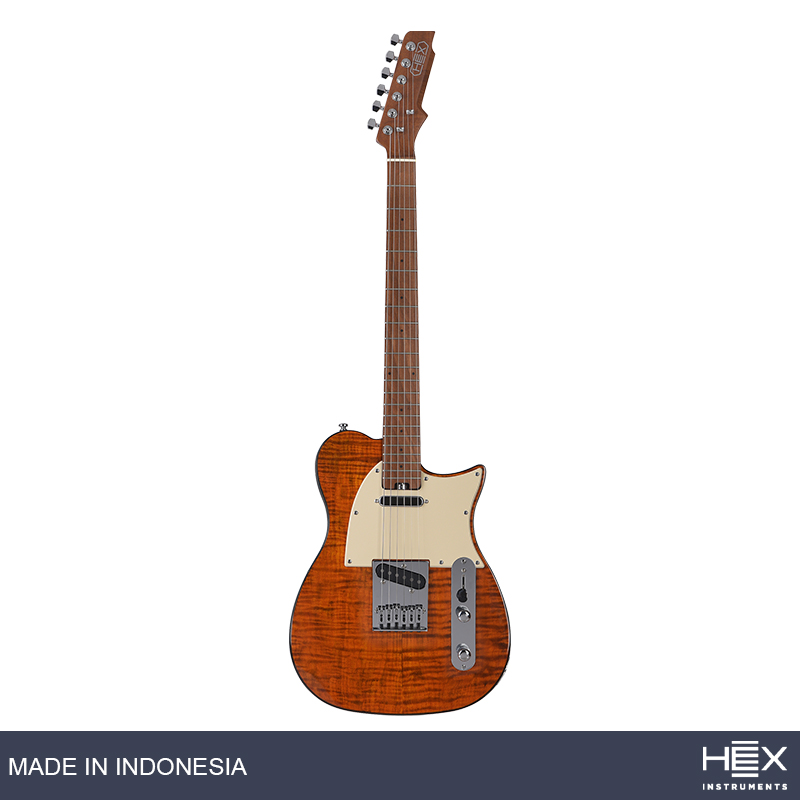 Hex Instruments T Series T200 Sg/Vn Telecaster Electric Guitar With