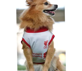 liverpool dog jersey