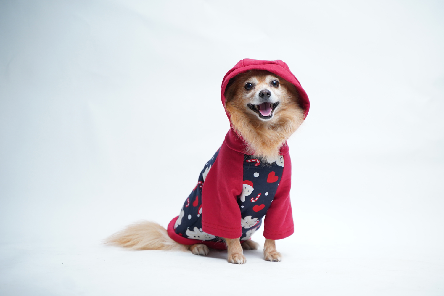 kathmandu dog jacket