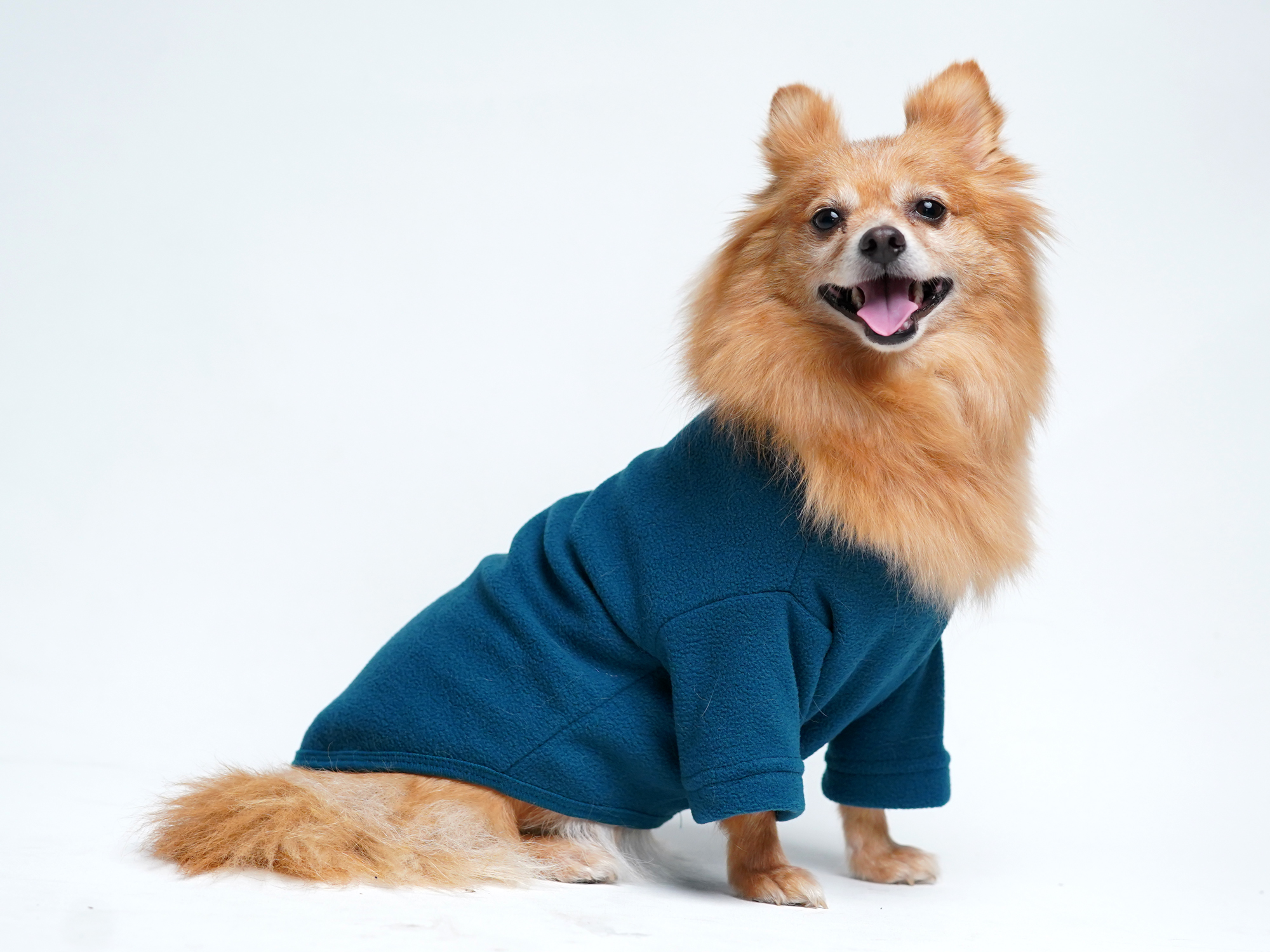 Full Sleeve T Shirt For Pets I Dog Clothes I Buy Online At Best Prices In Nepal Daraz Com Np